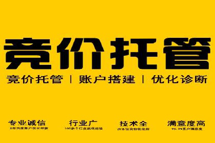 搜索引擎优化（SEO）在百度上的应用案例研究